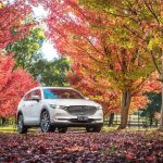 mazda_cx8_2018_ser1_01