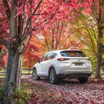 mazda_cx8_2018_ser1_02