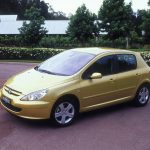 peugeot_307_t5t6_ser1_03
